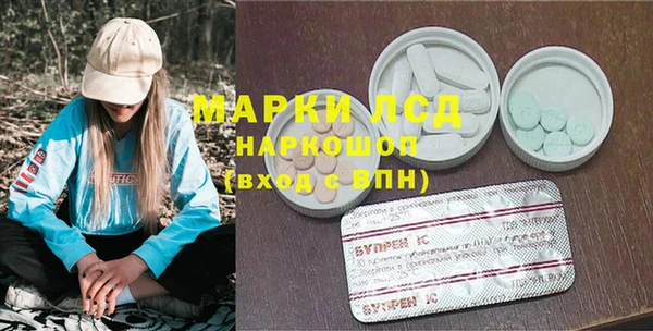 прущие крисы Корсаков