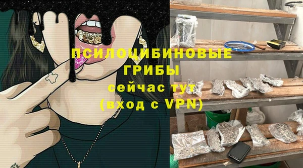 марихуана Коряжма
