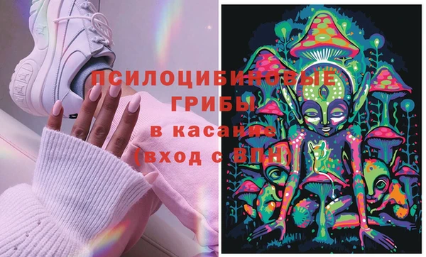 прущие крисы Корсаков